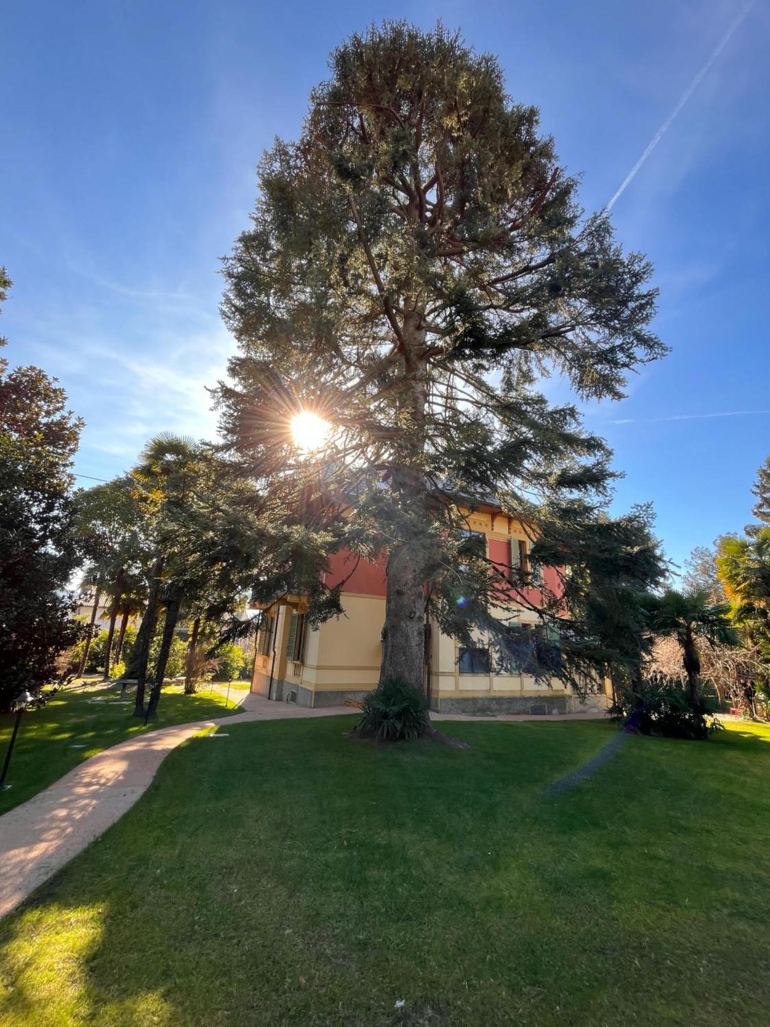 Villa Del Castanar Maccagno Exterior photo